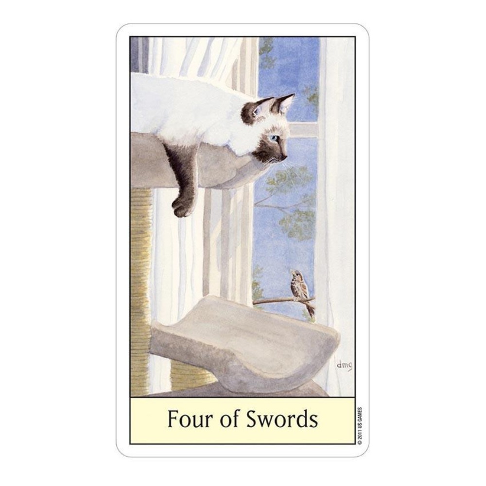 Cats Eye Tarot 12x7 cm Card Ga - Tarot Deck With Guidebook ulasan dan harga