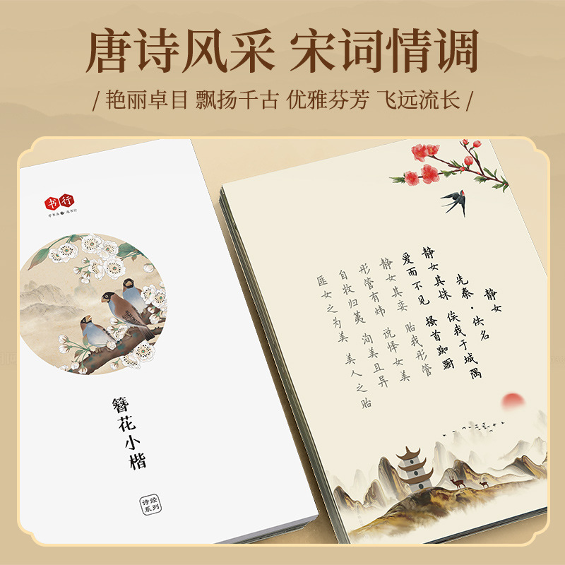 Hairpin Flower Small Kai Calli - Chinese Calligraphy Practice Book ulasan dan harga